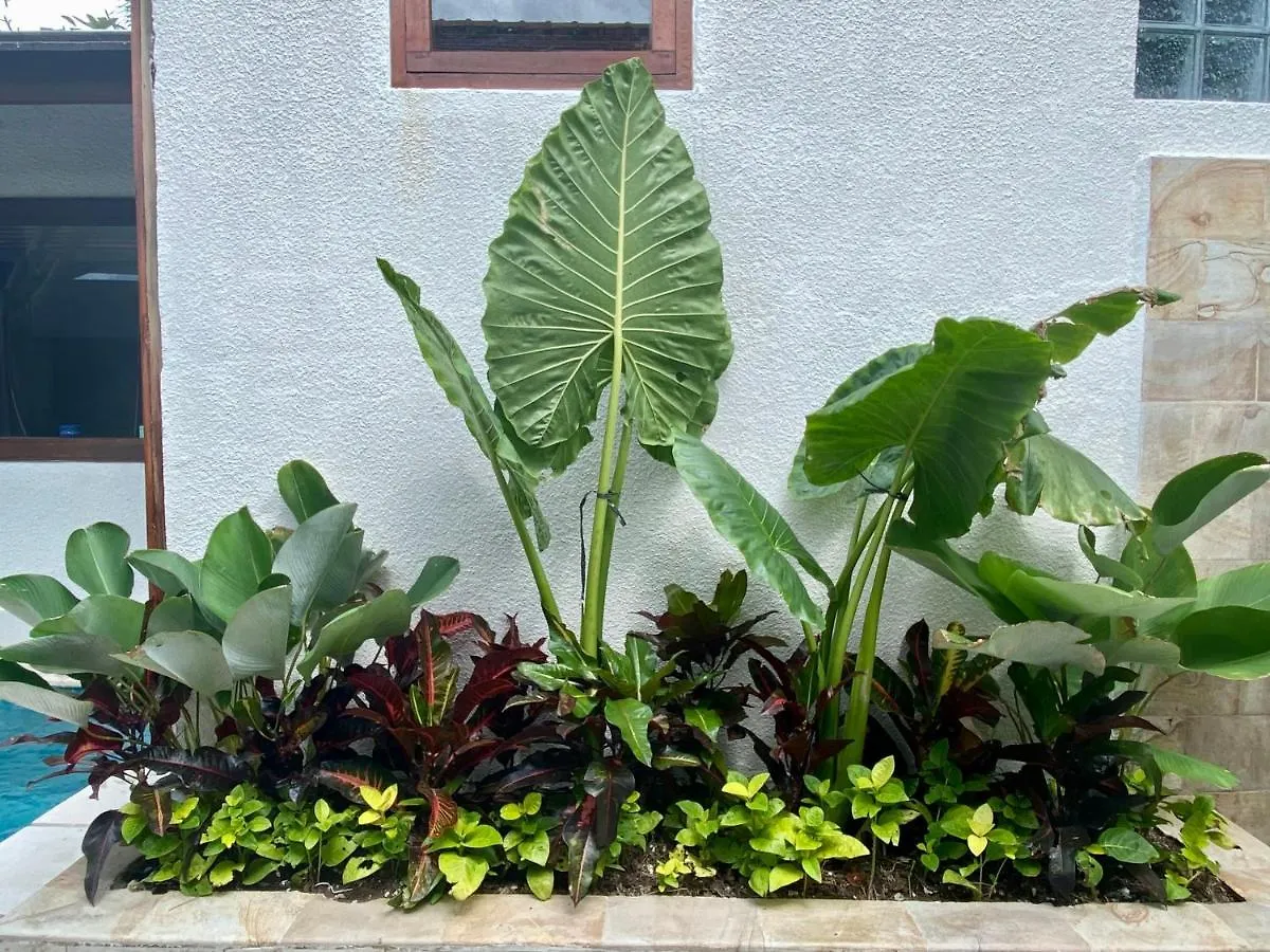 Villa Belharra Seminyak  Seminyak (Bali)